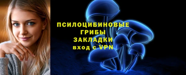 мяу мяу мука Кукмор