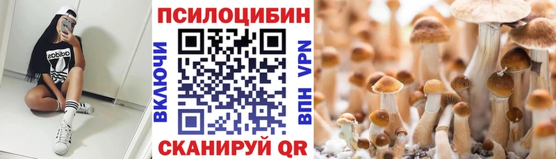 Галлюциногенные грибы Psilocybe  ОМГ ОМГ зеркало  Надым  цена наркотик 